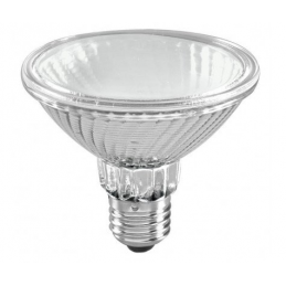 PAR 30 HI-SPOT-95 75W FLOOD