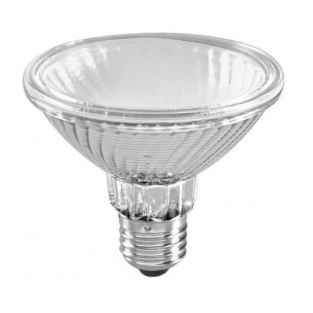 PAR 30 HI-SPOT-95 75W FLOOD