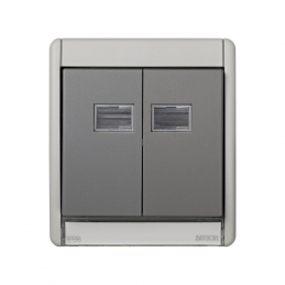 CAJA VACIA GRIS IP55 CON TECLA DOBLE