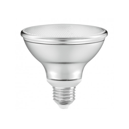 PAR 38 60 LED WH 5W E27 6000K