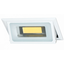 BONN PROYECTOR LED 30W BL 4200K