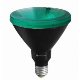 PAR 38 R-LINE VERDE 15W E27 220V 3º