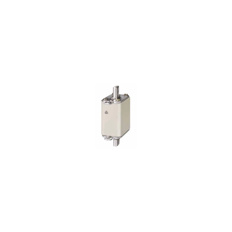 FUSIBLE NHO 100A 500V gG
