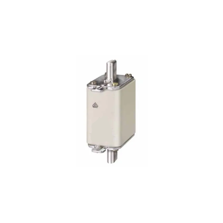 FUSIBLE NHO 100A 500V gG