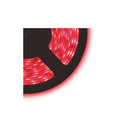 KIT TIRA LED, SMD3528, 300LED 5M