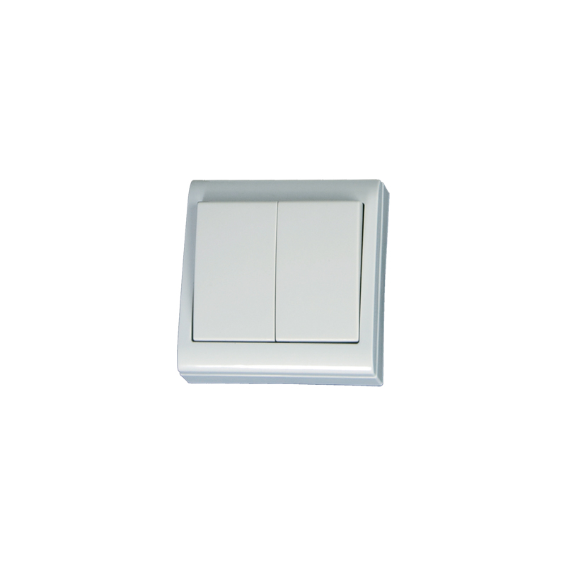 DOBLE INTERRUPTOR SUPERFICIE 80X80MM B.10A 250V