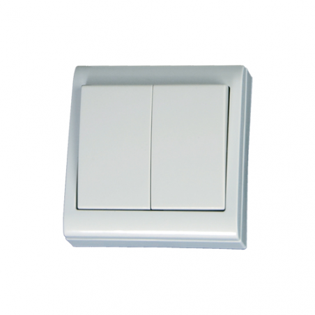 DOBLE INTERRUPTOR SUPERFICIE 80X80MM B.10A 250V