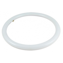 TUBO LED CIRCULAR T9 32W 6500K