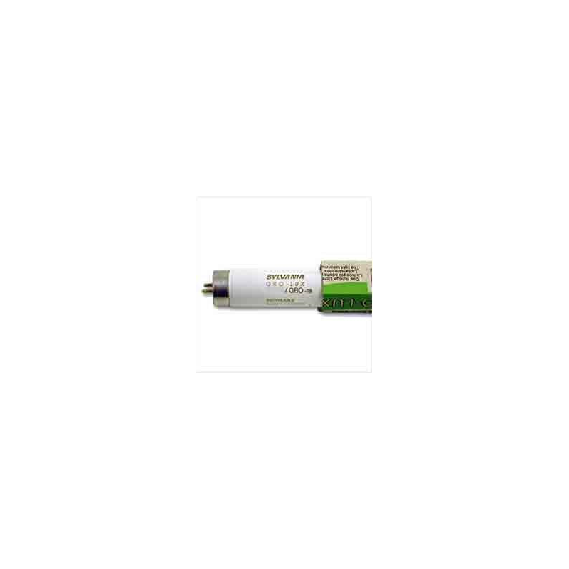 TUBO CARN GRO-LUX 36W