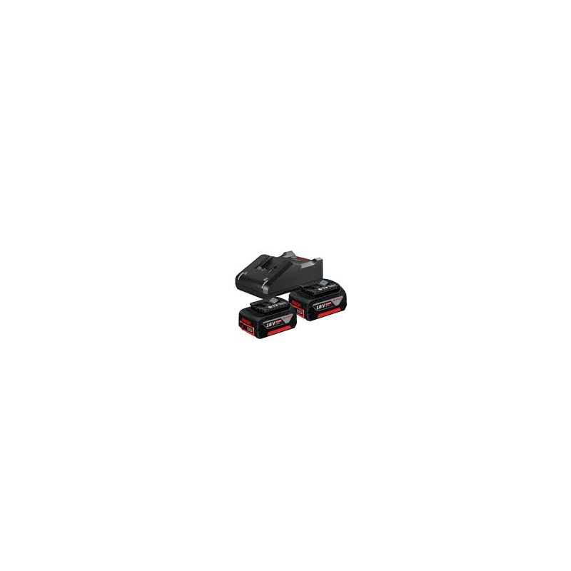 POWERSET18V: 2X4.0Ah  y  CARGADOR GAL